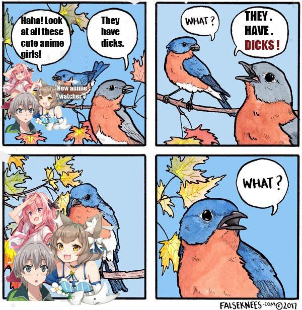 New Weebs be Like