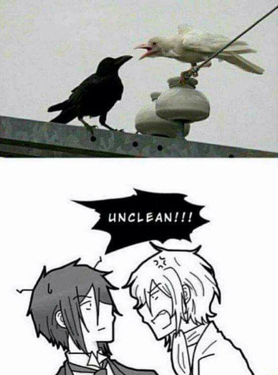 Kuroshitsuji #46