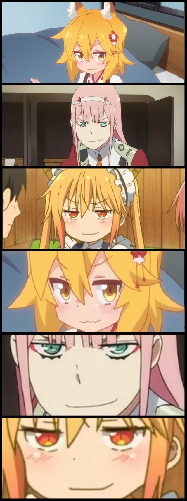 The Smug is up to Something