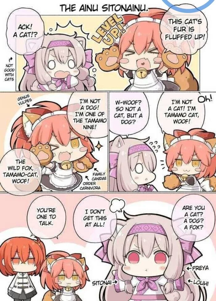 Fate Grand Order #48