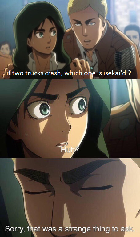 Erwin Meme #17
