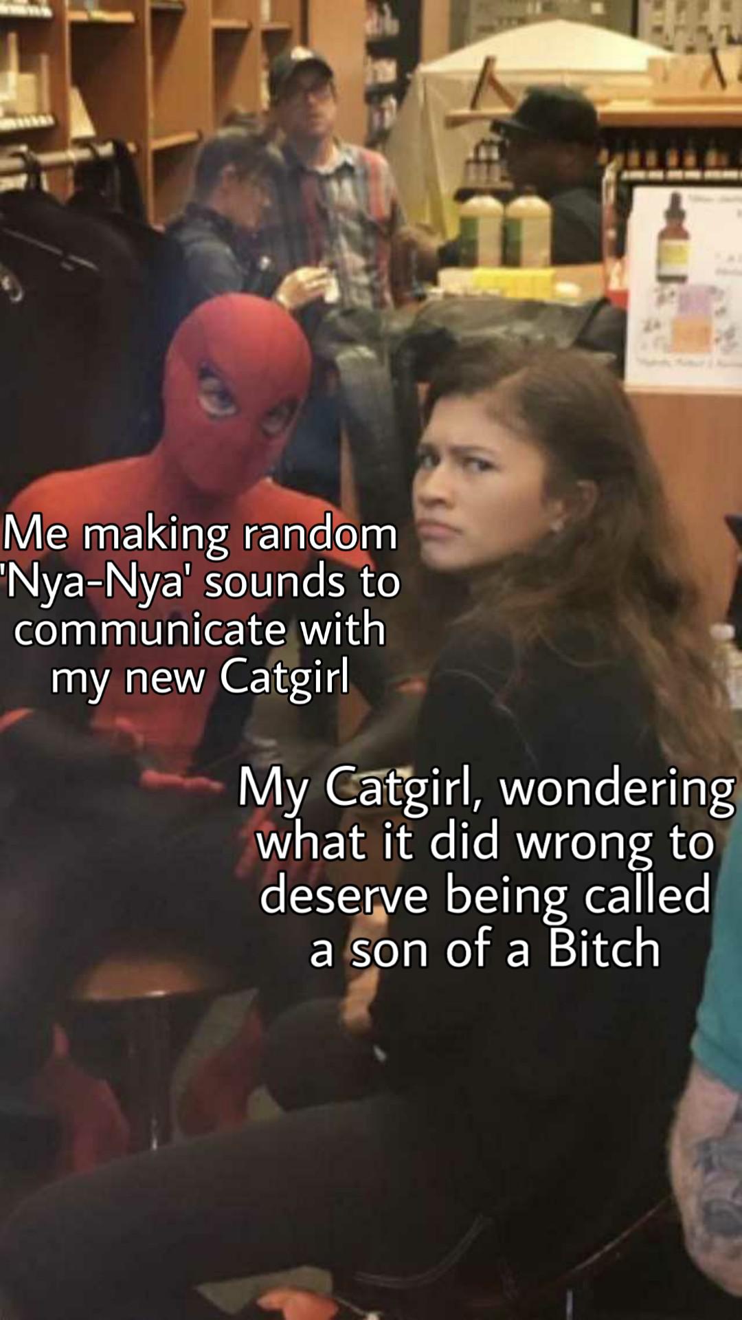 My a-paw-logies nyaa