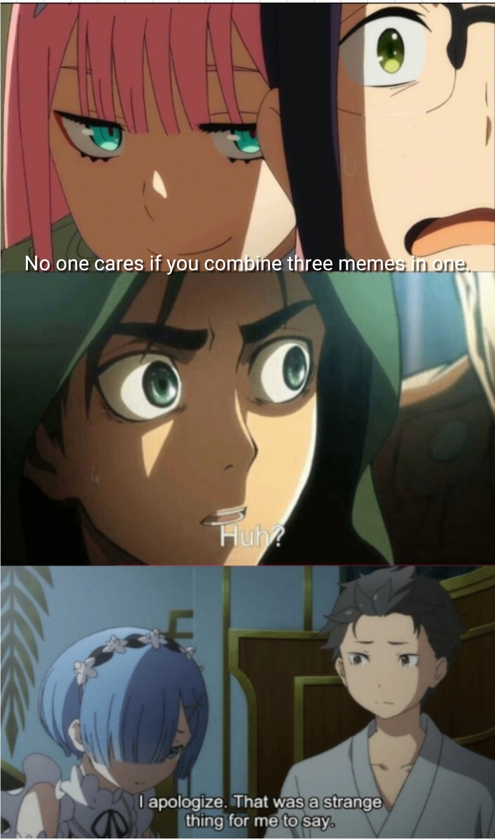 Erwin Meme #16