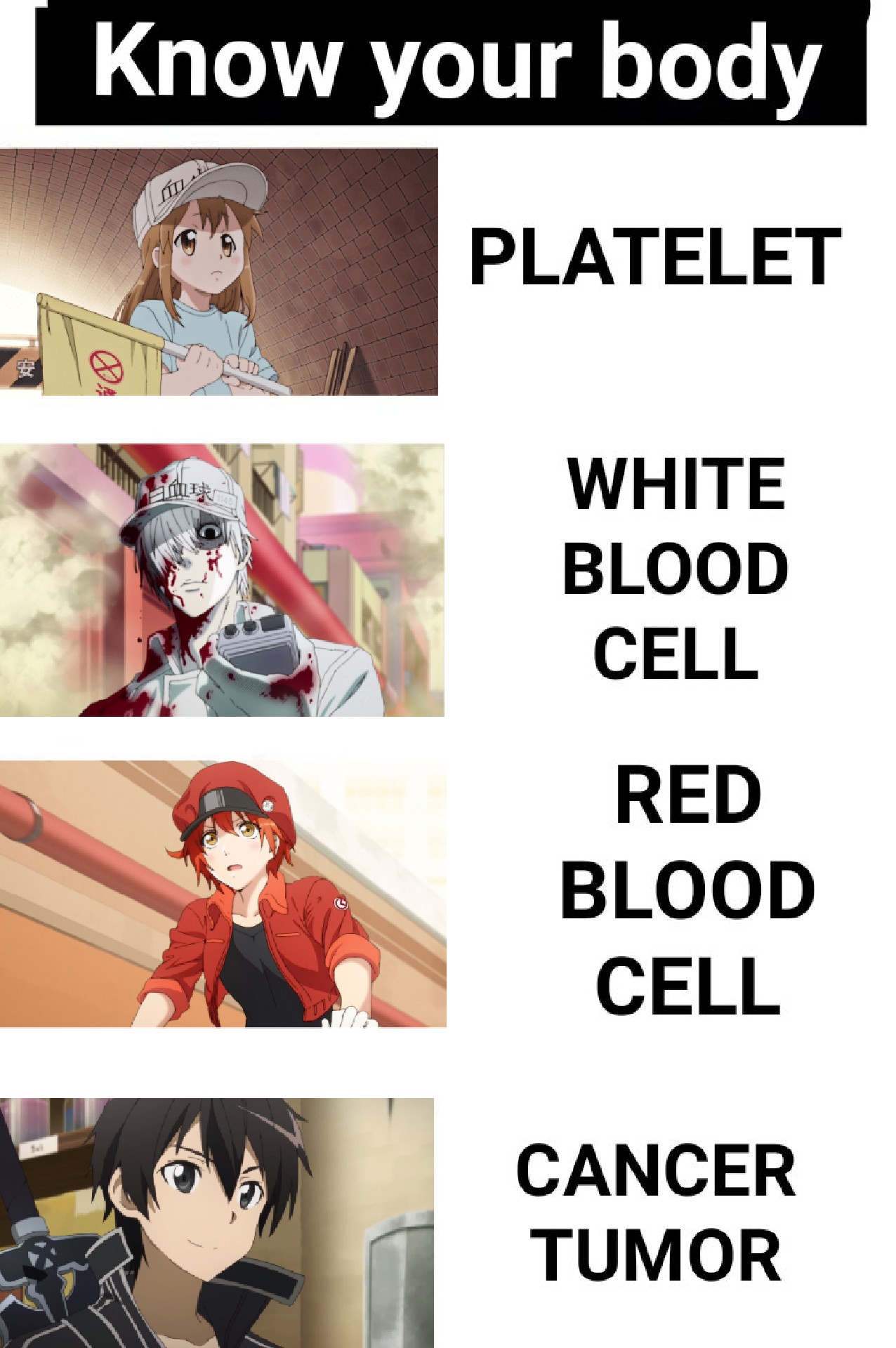 Hataraku Saibou