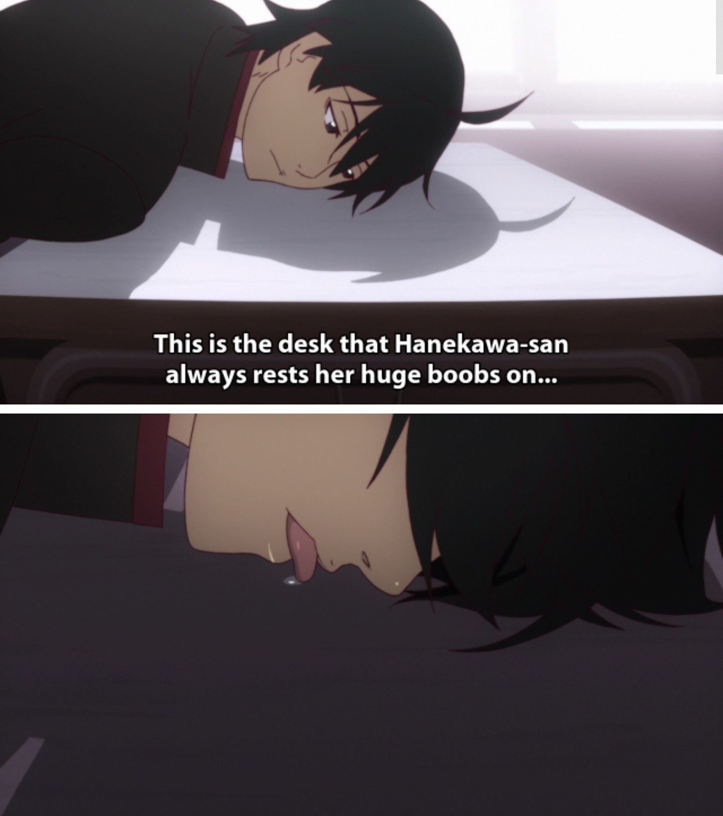 Monogatari Series