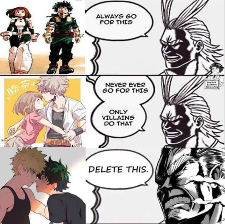 Boku no Hero Academia #13