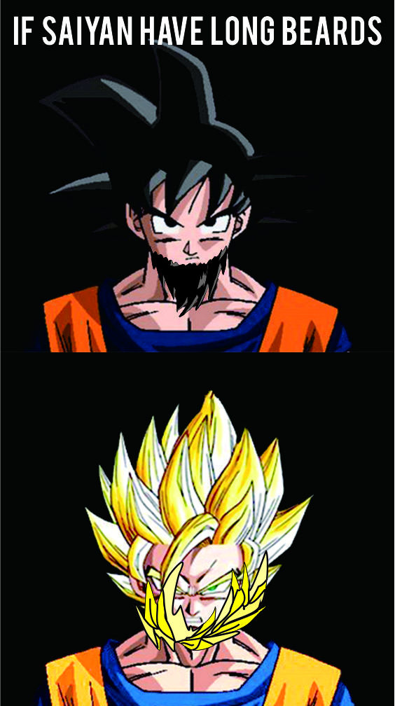 Dragon Ball #31