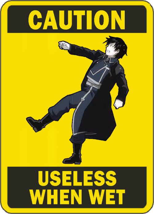 Fullmetal Alchemist #13