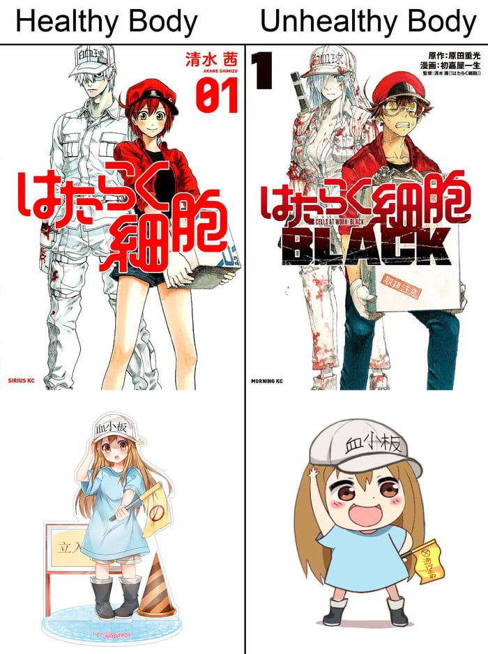 Hataraku Saibou #9