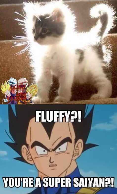 Dragon Ball #43
