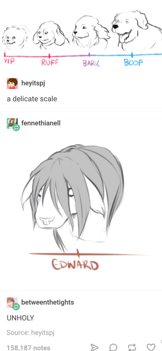 Fullmetal Alchemist #14