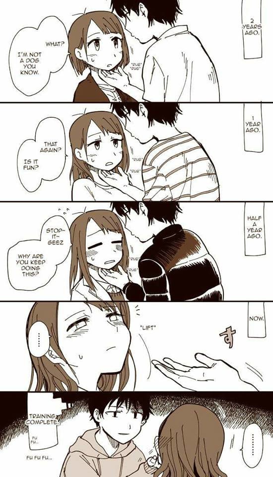 How To Train Your 