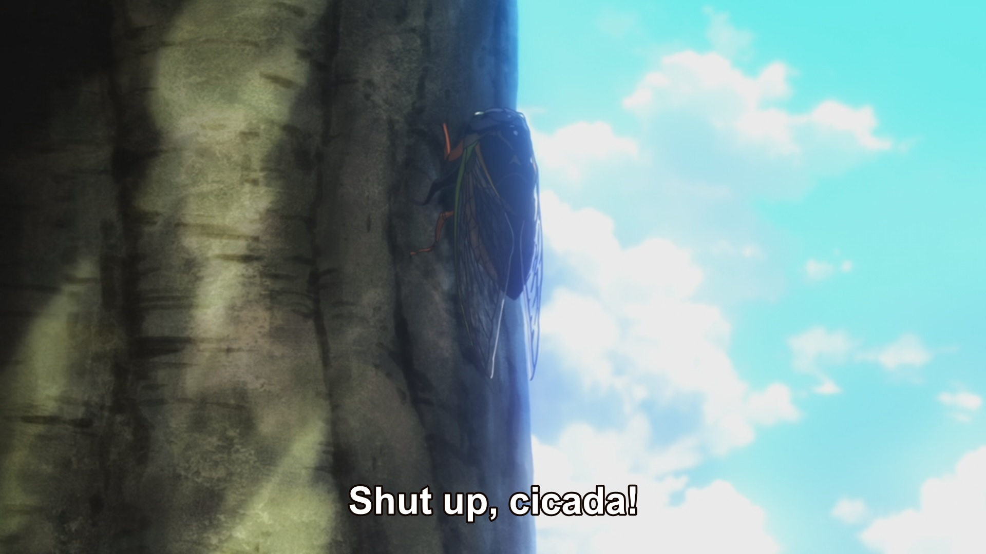 Me Every Summer Episode