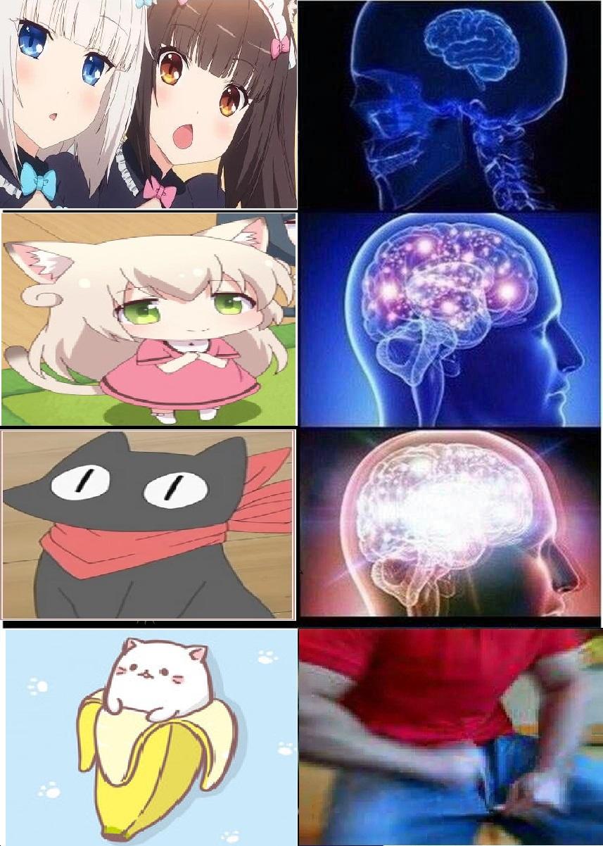 Real Cat = Galaximum Maximum