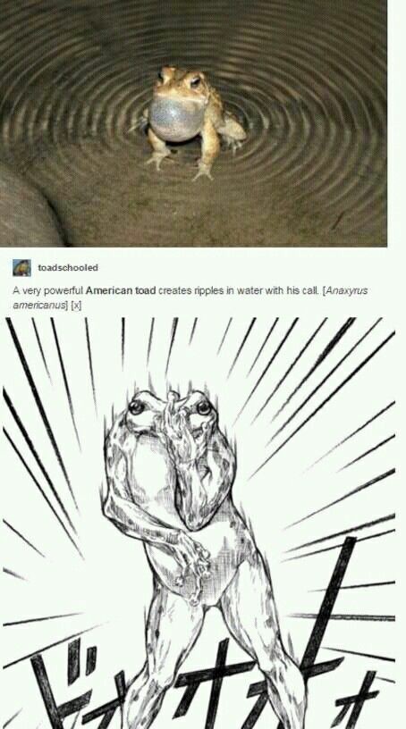 Jojos Bizarre Adventure #30