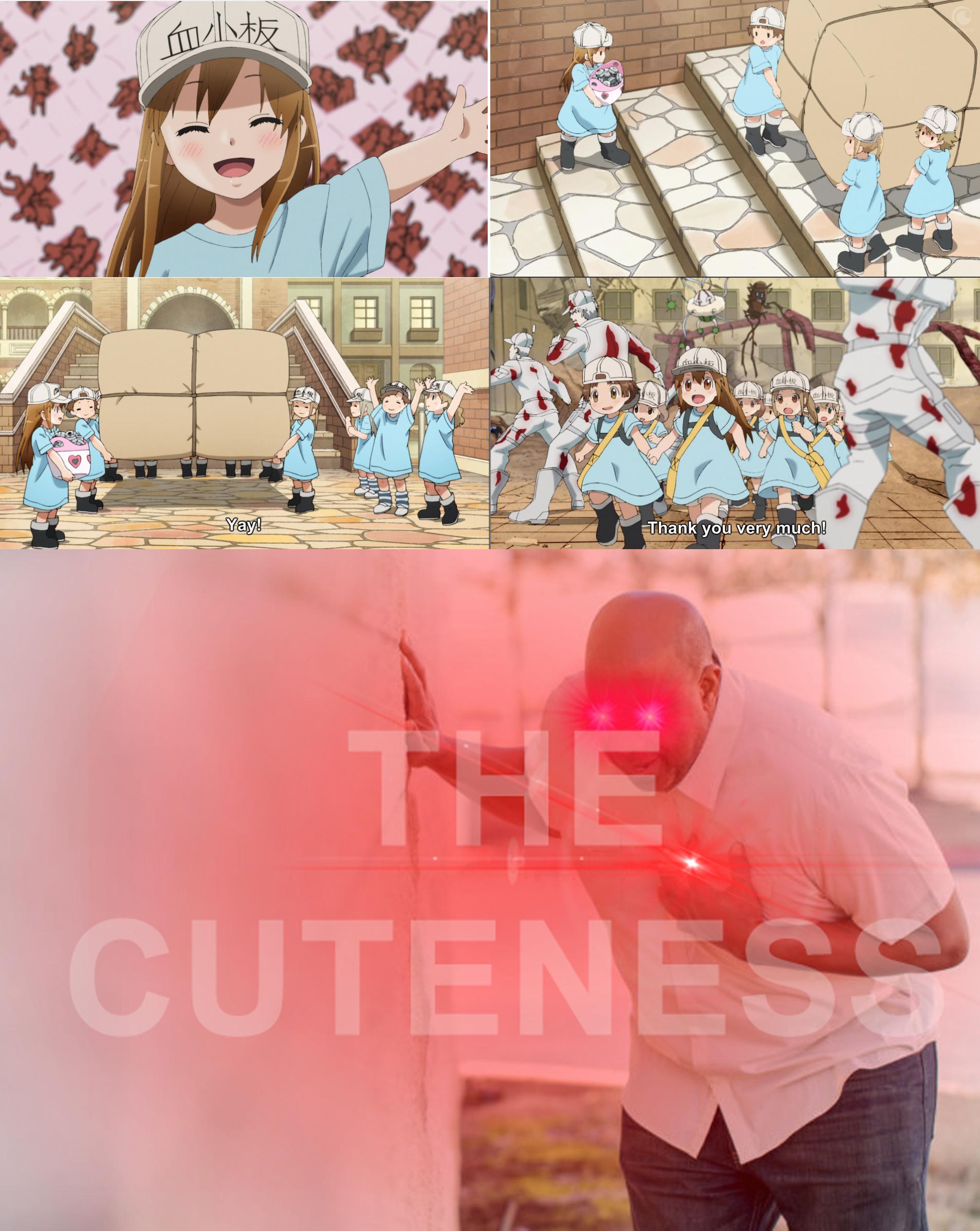 Hataraku Saibou #19
