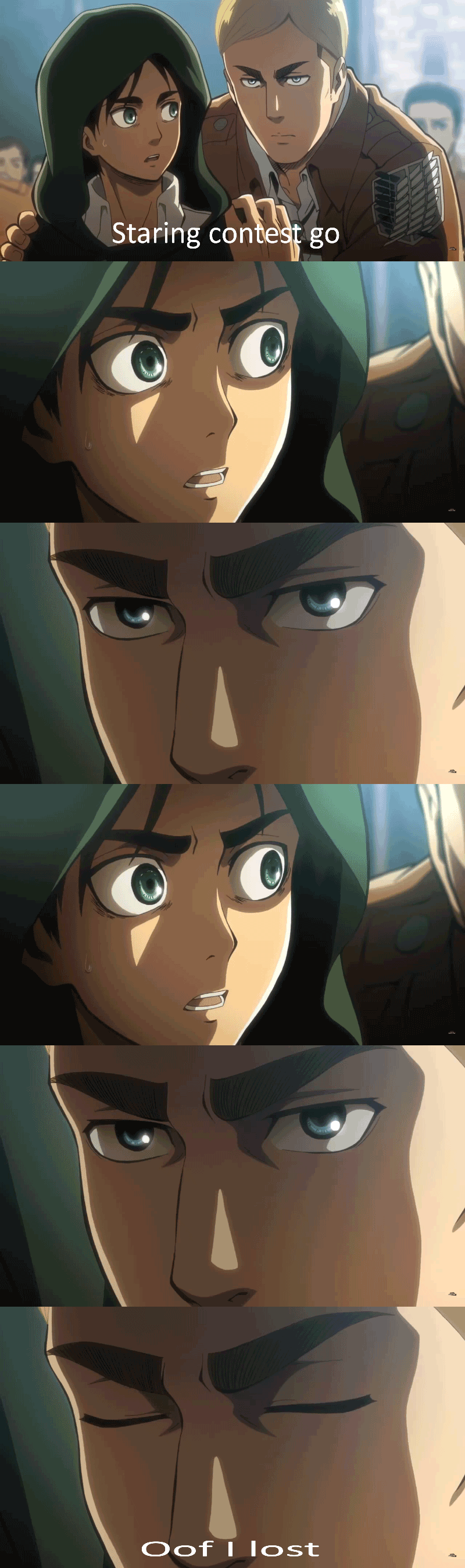 Erwin Meme #5