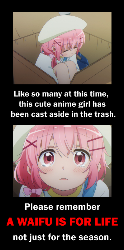 adapt a Waifu Today