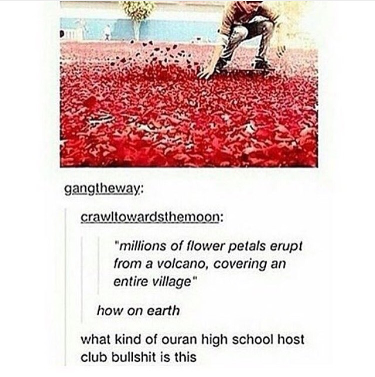 Village Hidden in The Petals