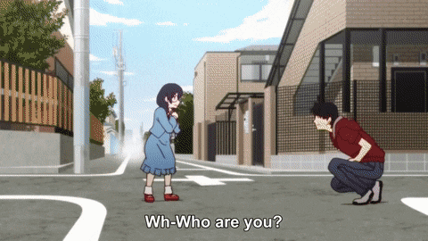 Monogatari Series #8