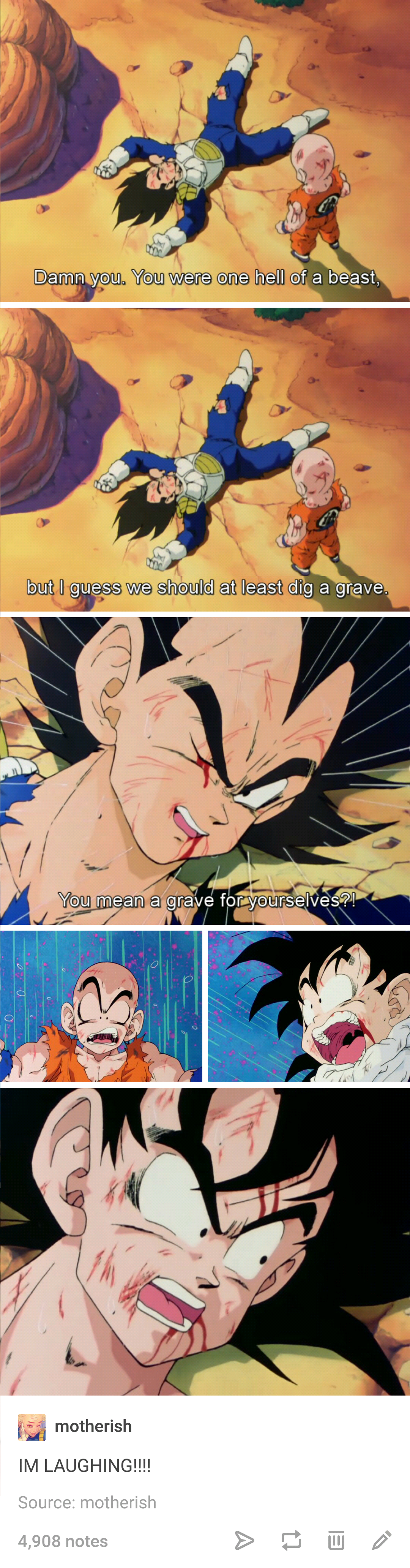 Dragon Ball #81