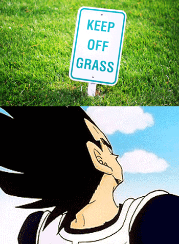 Thug Life