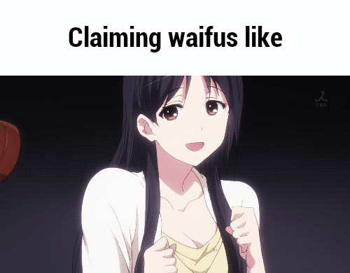 When You Change Your Waifu Every Season