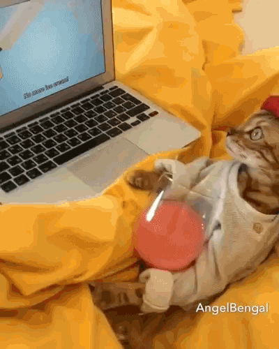 This is Some Good Shit Human