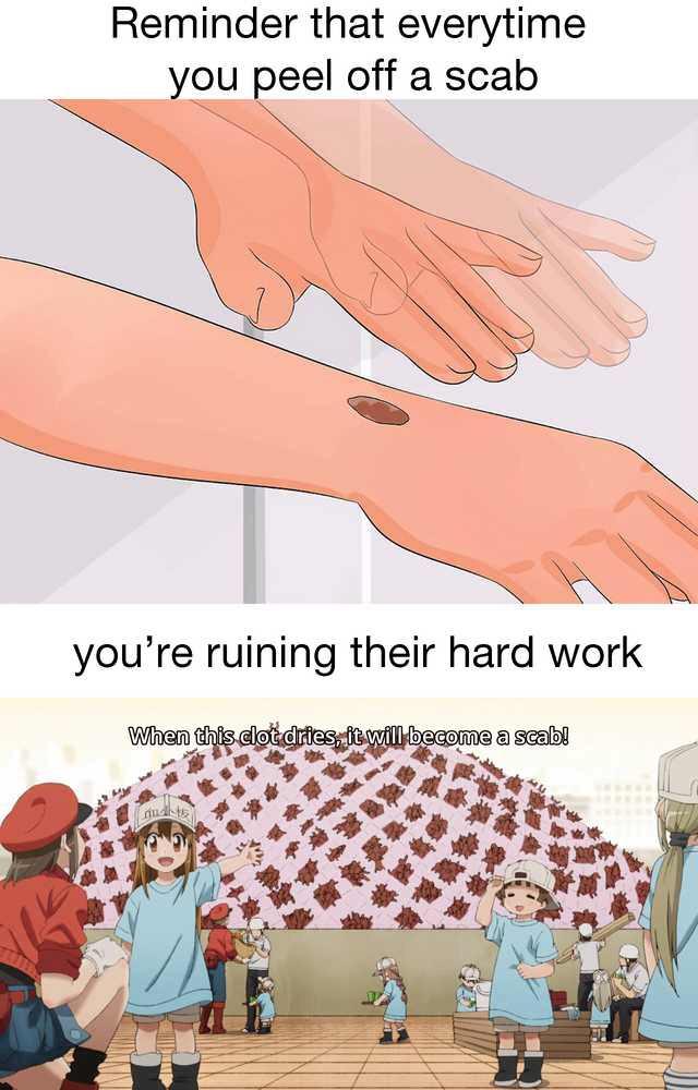 Hataraku Saibou #34