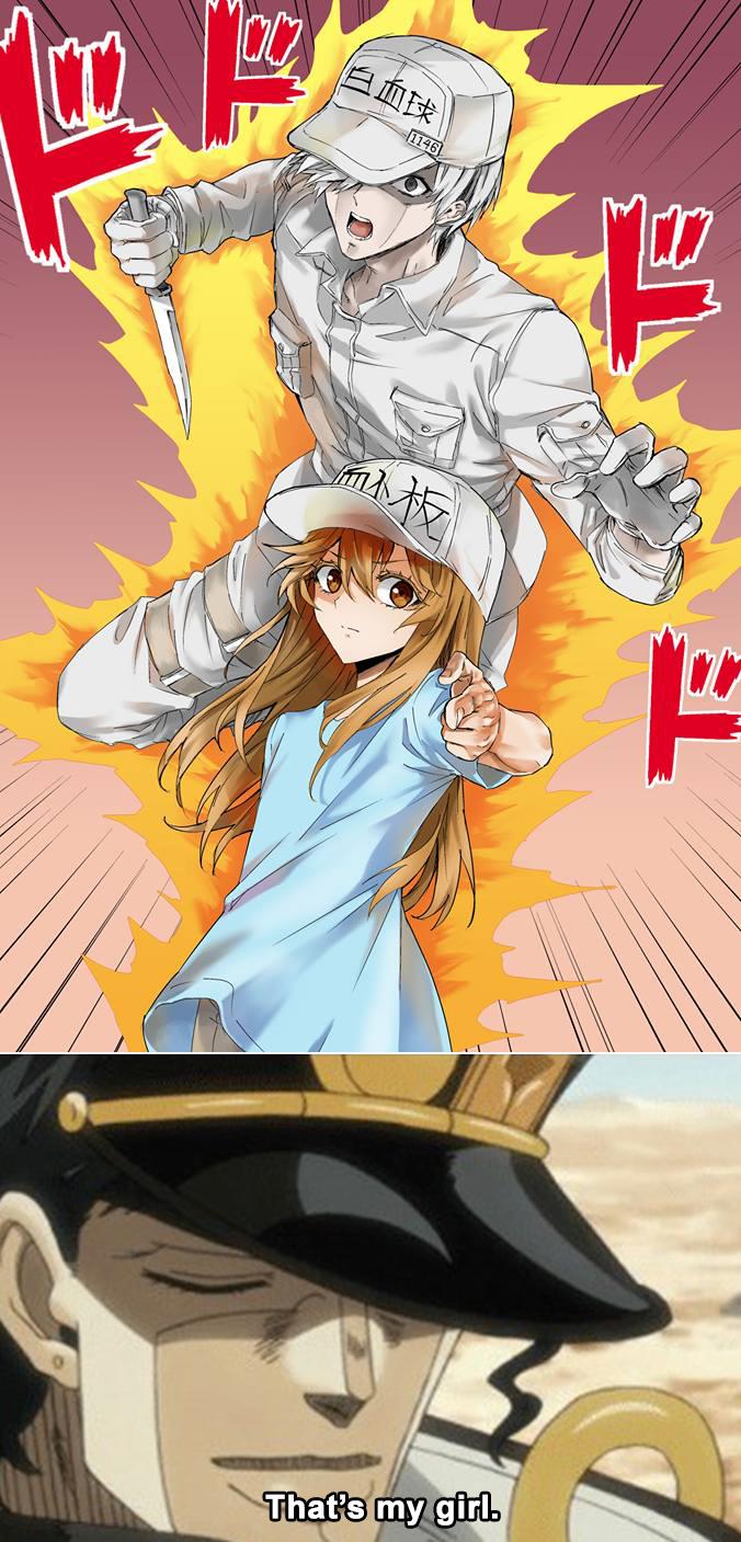 Hataraku Saibou #37
