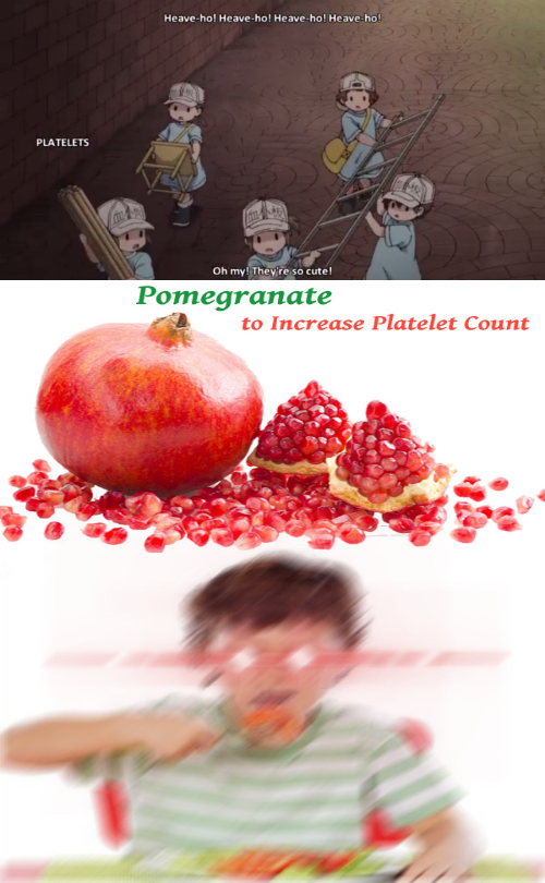 Hataraku Saibou #40