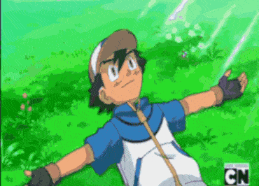 Pokemon #106