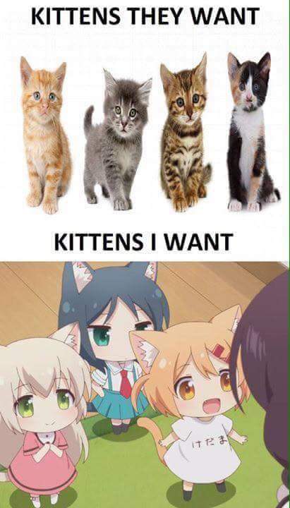 Nyanko Days #1