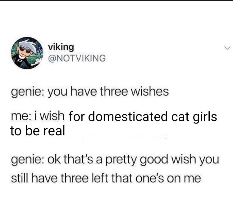 Good Guy Genie
