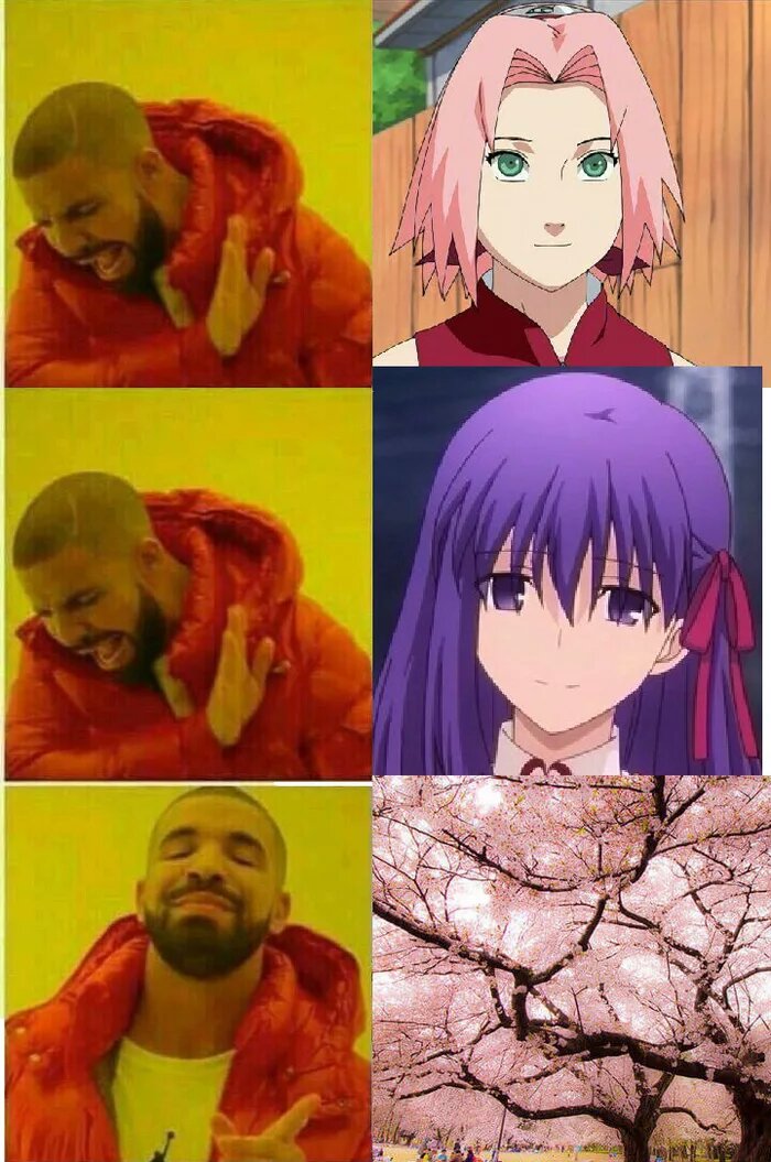 Cherry Blossom so Beautiful