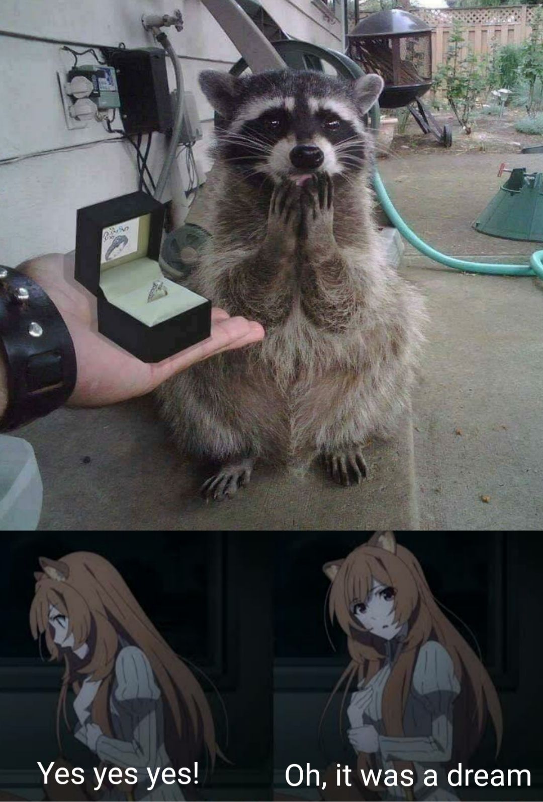 The Rising of The Shield Hero #212