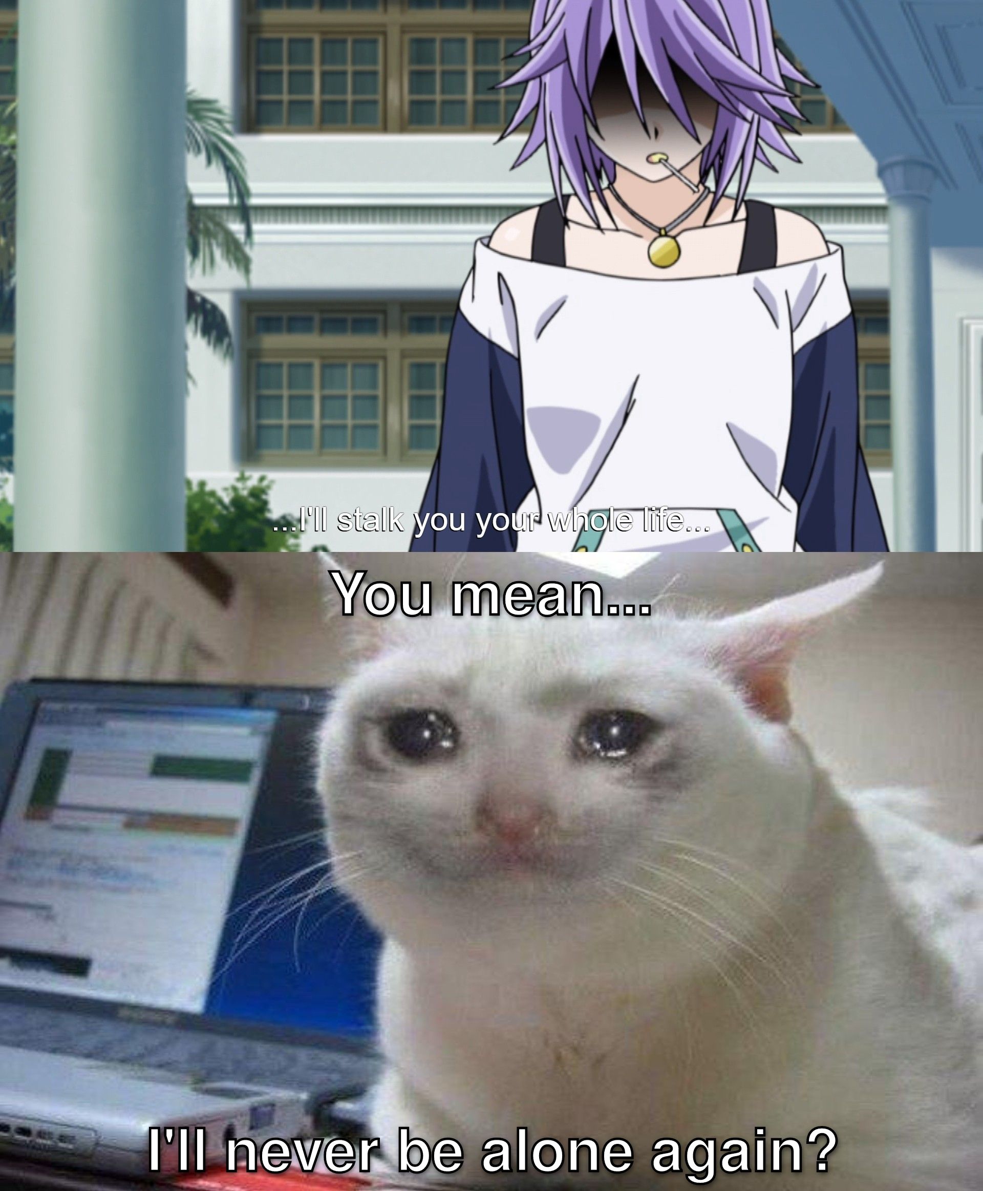Rosario to Vampire