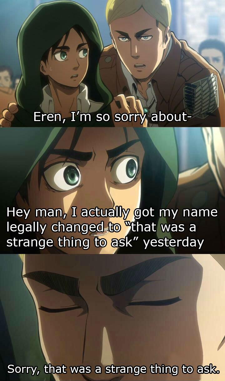 Erwin Meme #25
