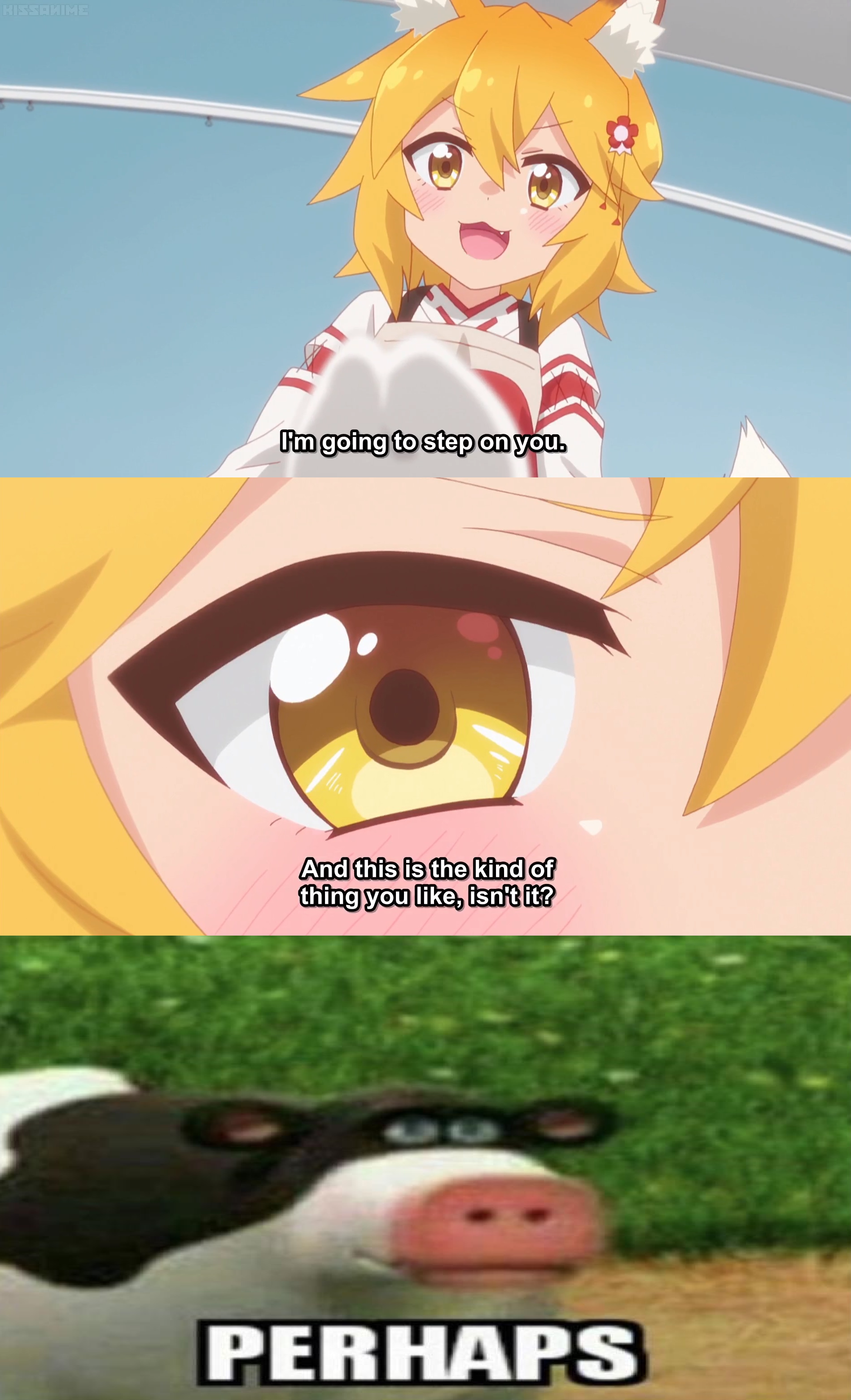 Sewayaki Kitsune no Senko-san #21