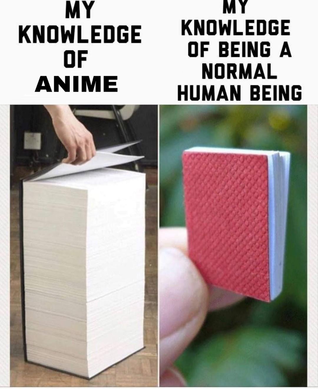 Yes I Have a Phd 