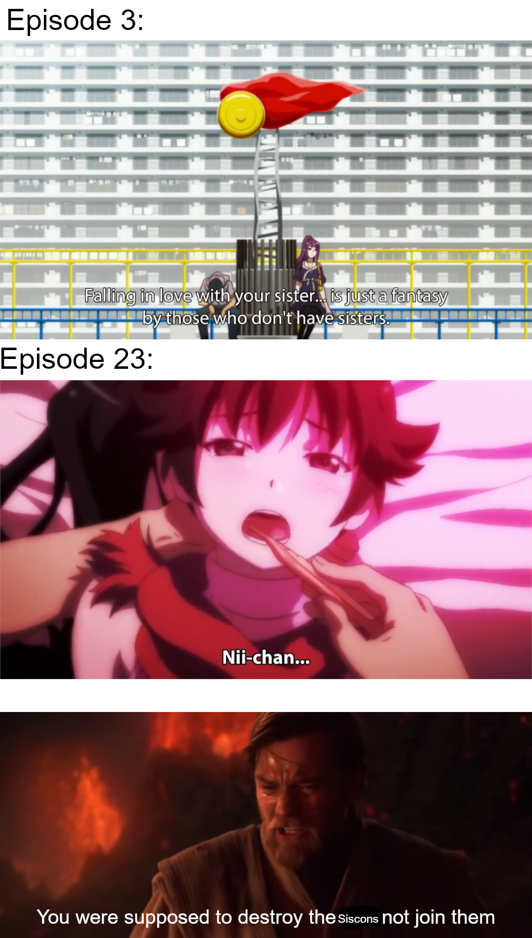 Monogatari Series #48