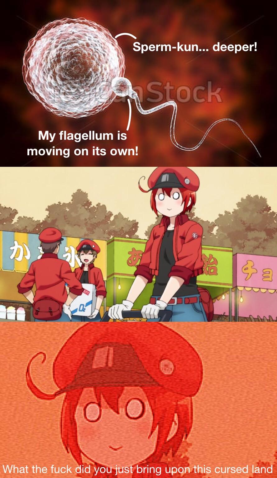 Hataraku Saibou #68