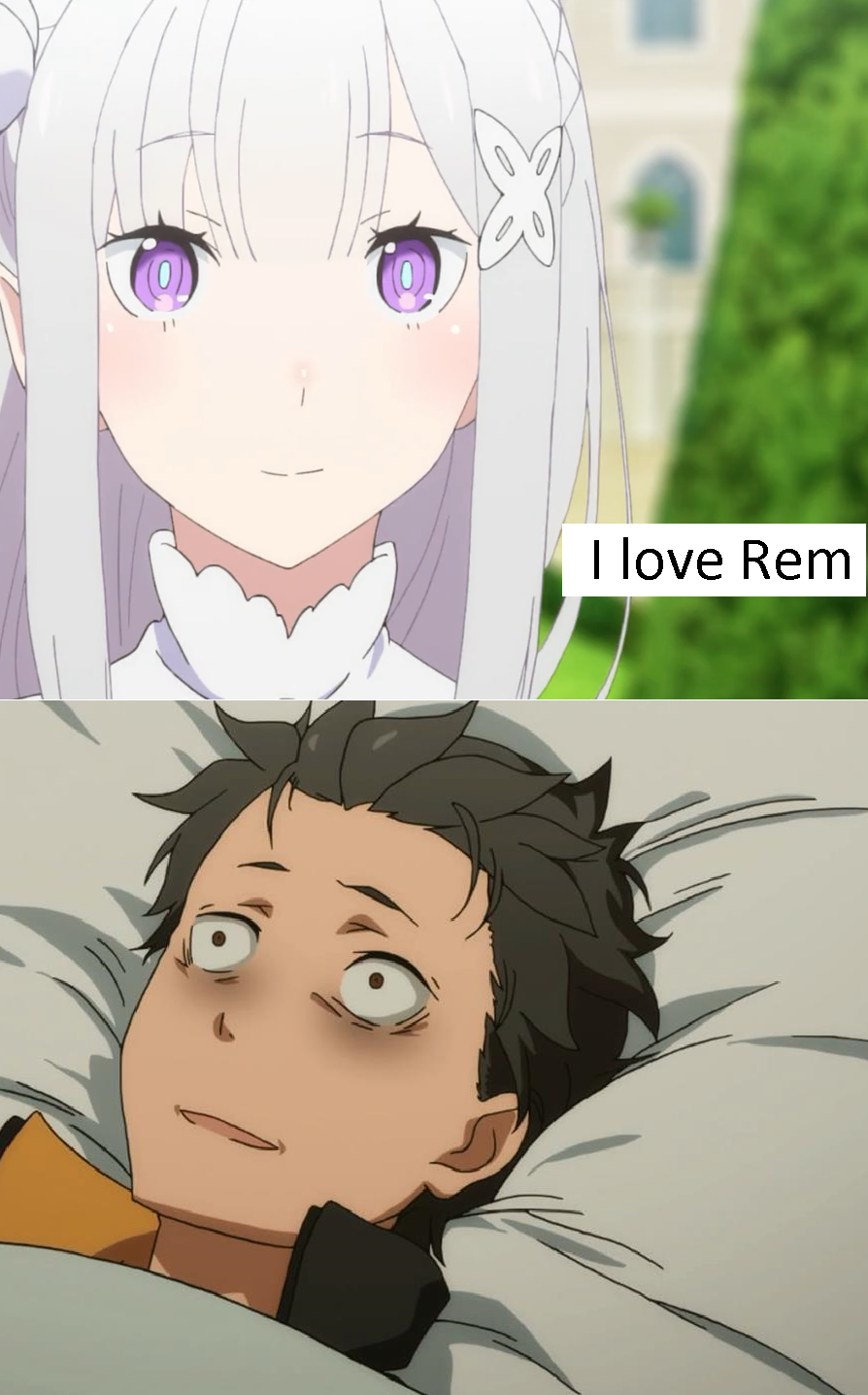 Re Zero #84