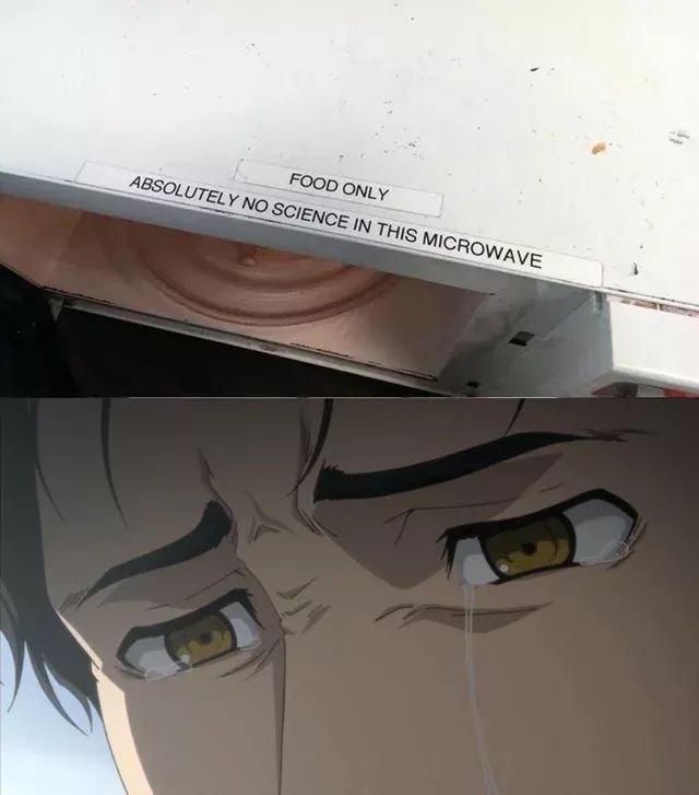 Steins Gate #14