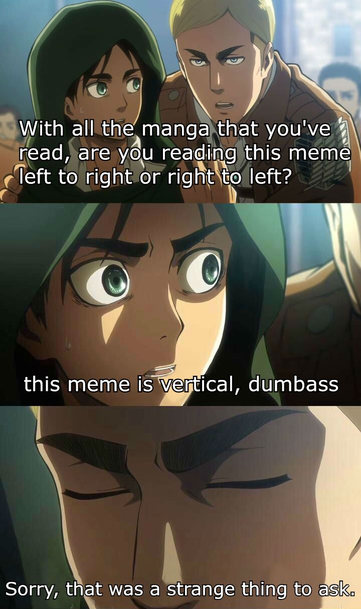Erwin Meme #40