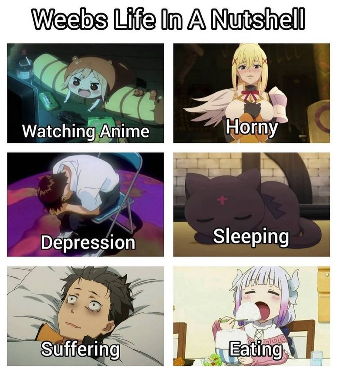 A NEET you could say