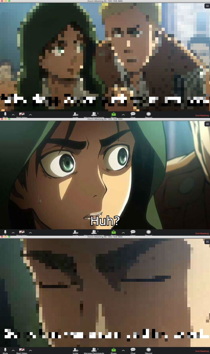 Erwin Meme #37