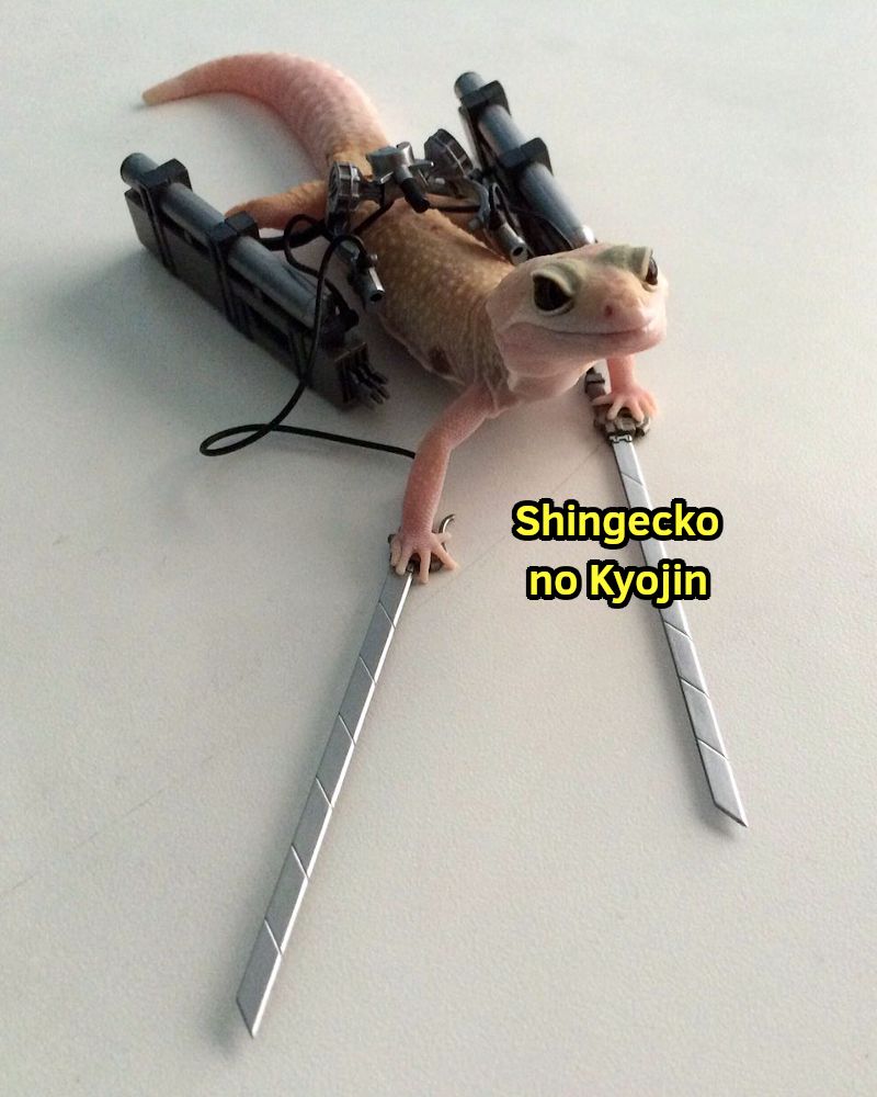 Shingeki no Kyoujin #163