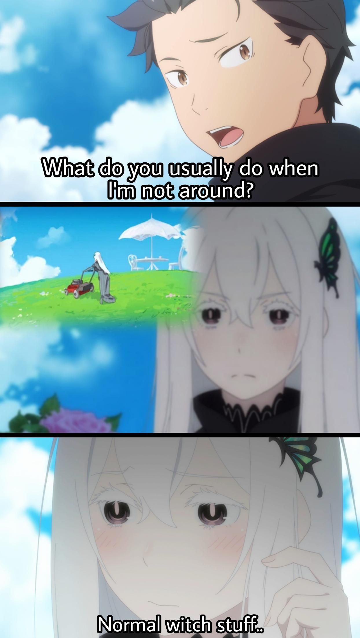Re Zero #244