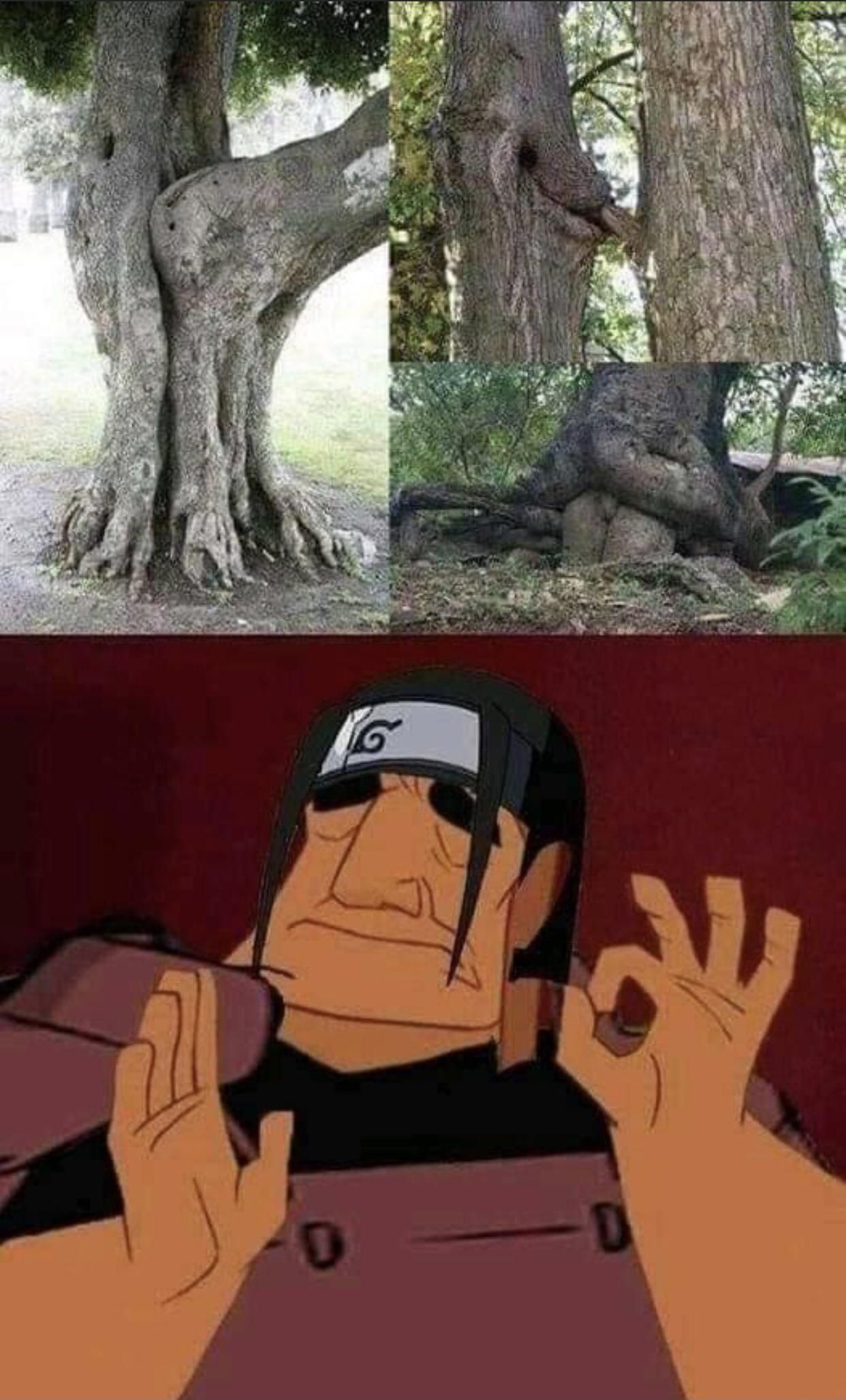 Naruto #1853